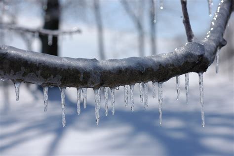 Bakgrundsbilder Träd Vatten Natur Utomhus Snö Kall Vinter