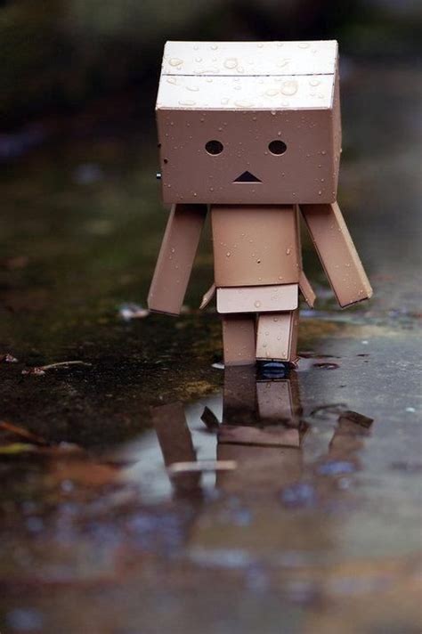 Maybe you would like to learn more about one of these? Good thing I'm not cardboard. =/ | To Capture | Pinterest ...
