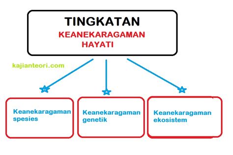 Keanekaragaman Hayati Pengertian Manfaat Tingkatan Kerusakan Mutualist Us