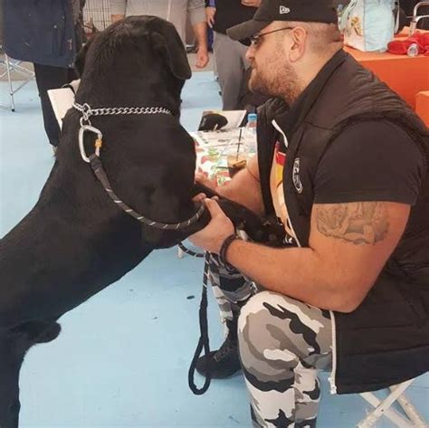 You are very talented and creative in what you do as a tattoo artist. Meet the "Beast". PAOK owner's personal bodyguard! (photos ...