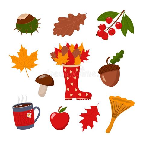 Autumn Collection Isolated Vector Illustration Stock Vector