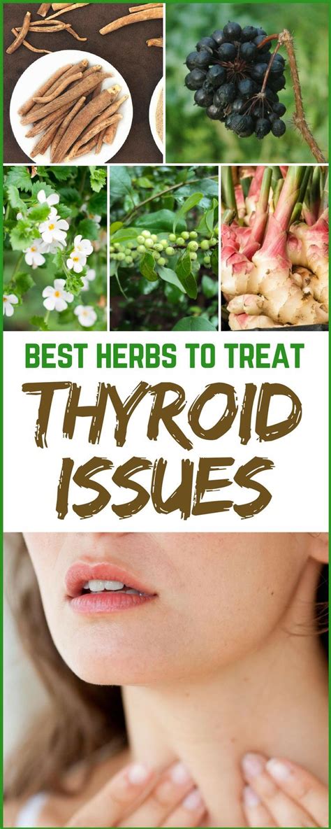Best Herbs To Treat Thyroid Issues Thyroid Issues Natural Thyroid