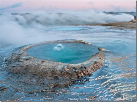 Spectacular Images Of Icelands Resilient Beauty Pinaynew