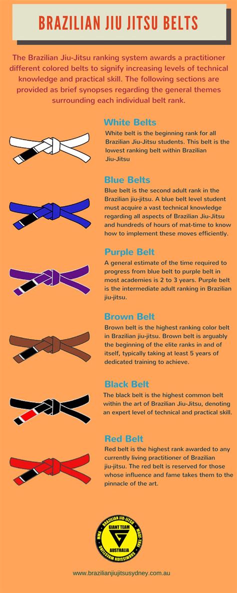 Brazilian Jiu Jitsu Belt Color Order