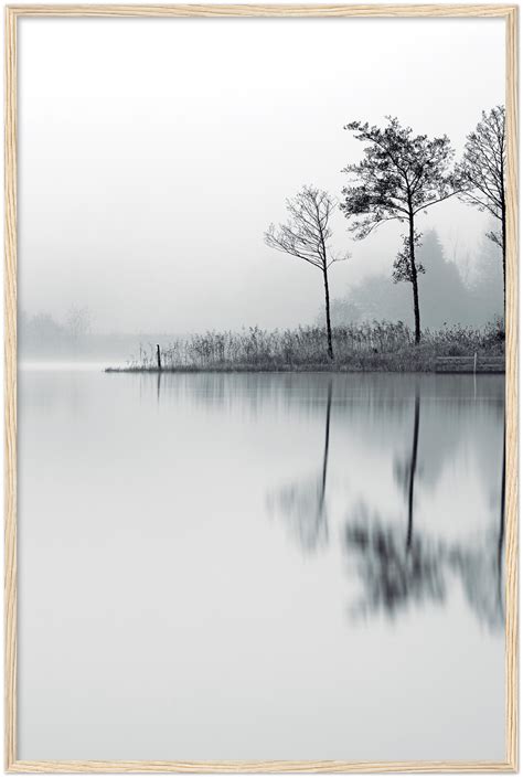 Misty Morning Premium Nature Poster Wall Art Wave Poster Lion Poster