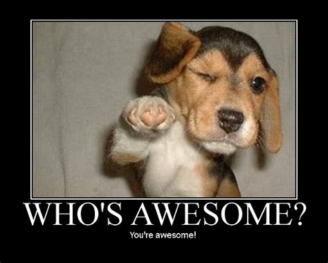 Whos Awesome Being Awesome Photo 28150083 Fanpop