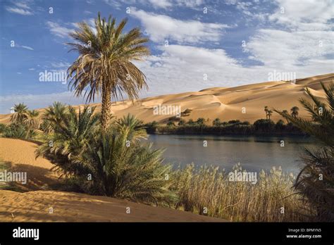Mandara Lakes In The Dunes Of Ubari Oasis Um El Ma Libyan Desert
