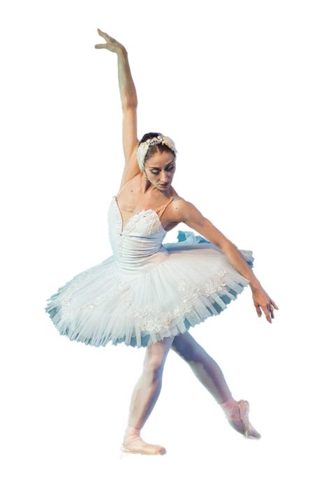 Ballerina Ballet Isolated Free Photo On Pixabay