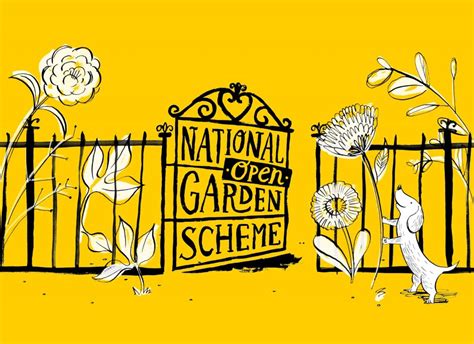 National Garden Scheme Illustration The Queens Nursing Institute