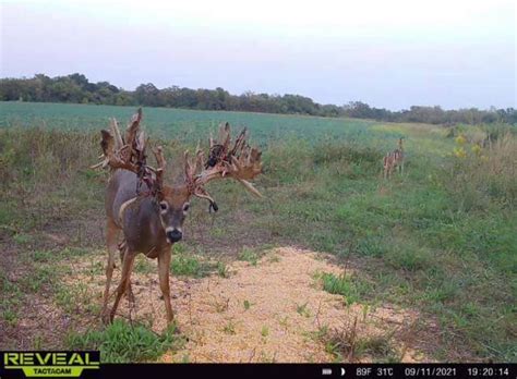 Photos Is This 50 Point Buck The New World Record Whitetail