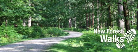 New Forest Walks Map Find Walking Routes In The New Forest