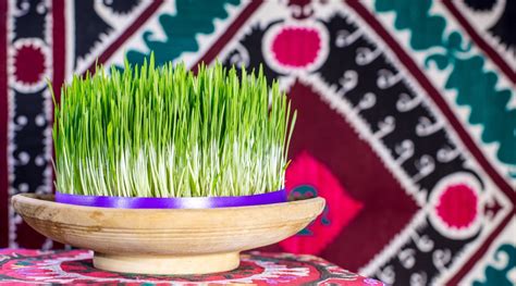 Happy nowruz 1400 to all our dear clients and employees. The non-Iranian's guide to Nowruz, the Persian New Year ...
