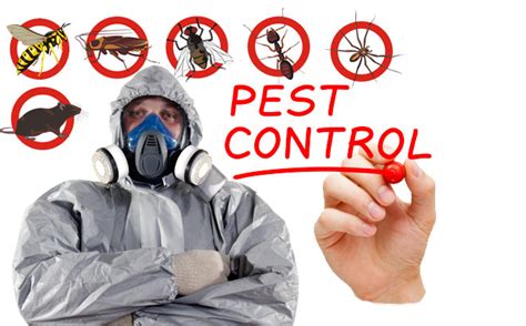 Alibaba.com offers 908 pest exterminators products. Get Rid of Pests & Insects With Waltham Forest Pest Control Services