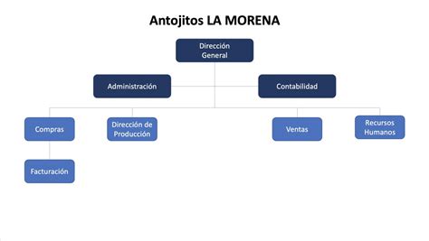 Organigramas Verticales De Empresas Ejemplos Formatos