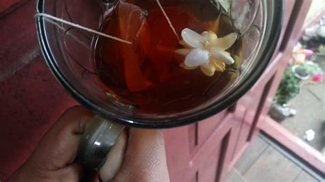 Well semoga informasi ini menjadi jalan kesembuhan untuk anda, salam sehat dan sampai jumpa di artikel selanjutnya. Cara Praktis Membuat Minuman Teh Melati Di Rumah - YouTube