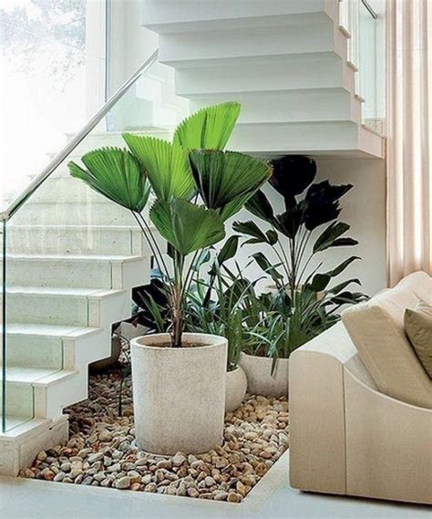 Ideas To Decorate Indoor Plants In Your Living Room Roohome