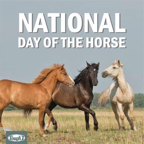 Day Of The Horse Horses Animals Fun
