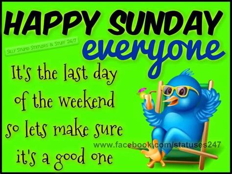 Happy Sunday Everyone Happy Sunday Quotes Good Morning Happy Sunday Sunday Quotes