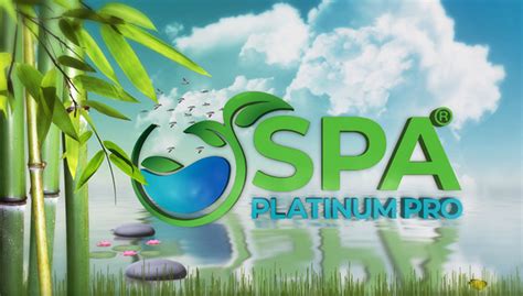 Spa Platinum Pro Spa Platinum Pro Hot Tub Spa And Pool Products All Made With Natural