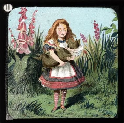 Alice In Wonderland Illustrations Magic Lantern Slides Visual And