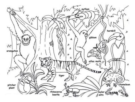 Color this drawing of a rain forest and its animals. Lively Woods and Jungle Animals Coloring Pages ...