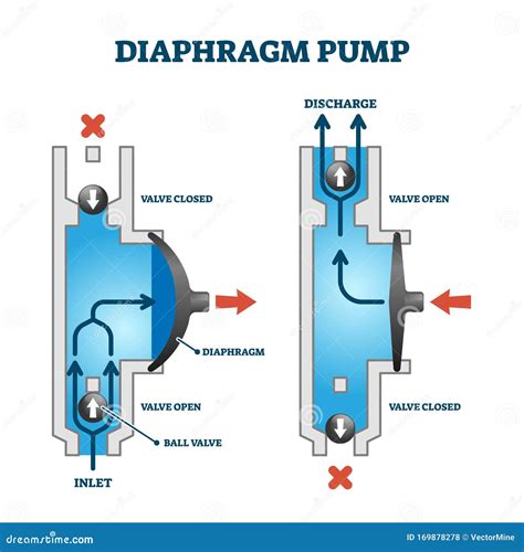 Diaphragm Pump Schematic