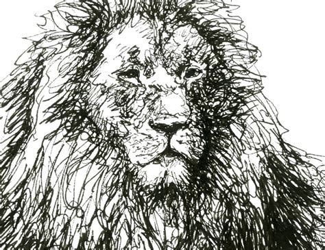 Lion Pen And Ink Drawing Original Fine Art Print Etsy