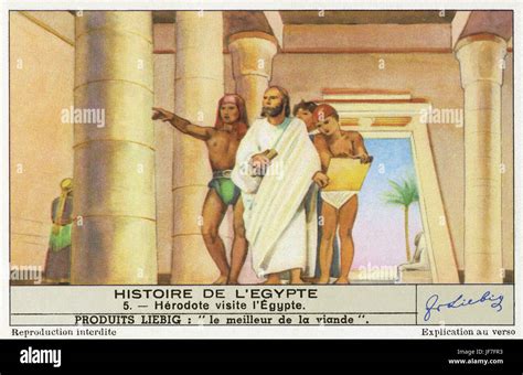 Herodotus Greek Historian Wrote An Account Of Egypt In The Histories