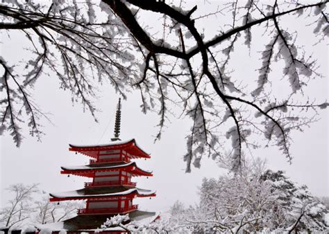 Know what's the tokyo weather now, and the weather forecast for the next hours and days. Complete Guide To Visiting Japan In February 2019: Weather ...