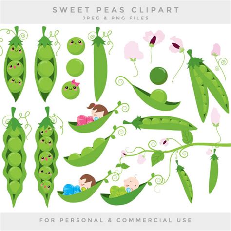 Peas In A Pod Clip Art Sweet Peas Clipart Baby Babies Green Vines Flowers Sweetpeas Digital For