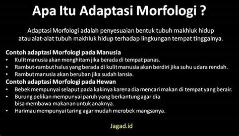 Adaptasi Morfologi Pengertian Macam Jenis Dan Contoh Jagad Id 45872 The Best Porn Website