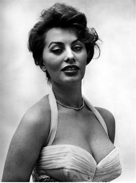 Sofia Loren Sophia Loren Photo Sophia Loren Sofia Loren