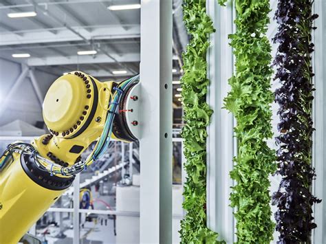 Plenty To Build ‘worlds Largest Indoor Vertical Farming Complex