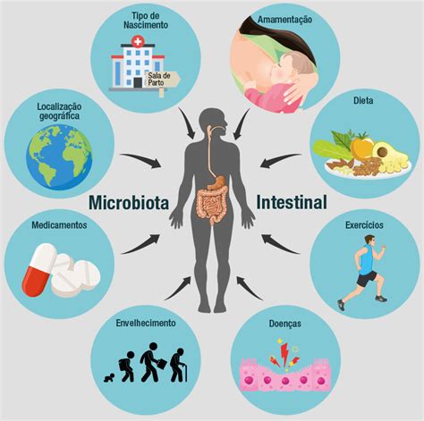 Conheça A Relação Entre Microbiota Intestinal Envelhecimento E