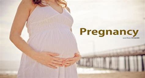 free download pregnancy and their stages powerpoint presentation slidesfinder