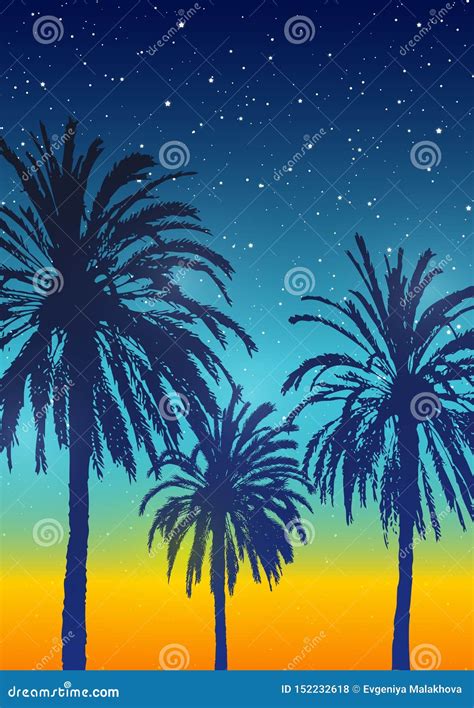 Summer Background With Palm Trees Silhouettes Stock Vector