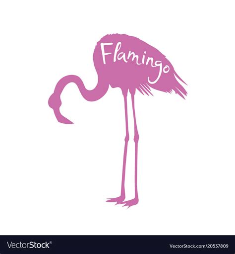 Flamingo Royalty Free Vector Image Vectorstock