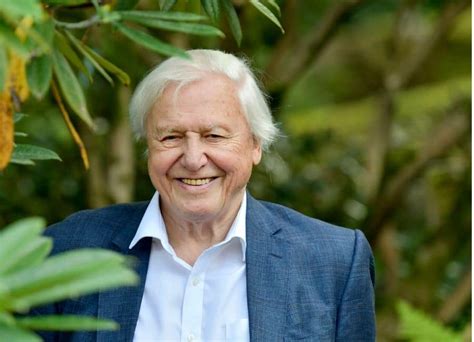 View highlights to follow inspiring accounts. David Attenborough to give geography lessons in new BBC ...