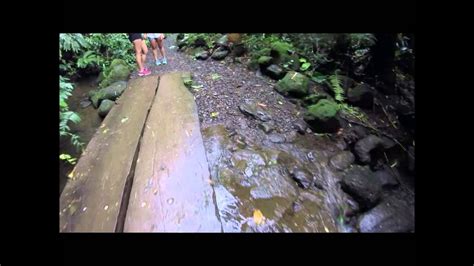 Manoa Falls Youtube