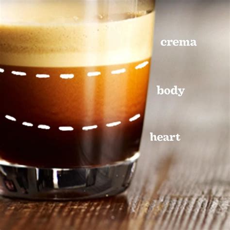 Anatomy Of The Perfect Espresso Shot Coffee Pinterest