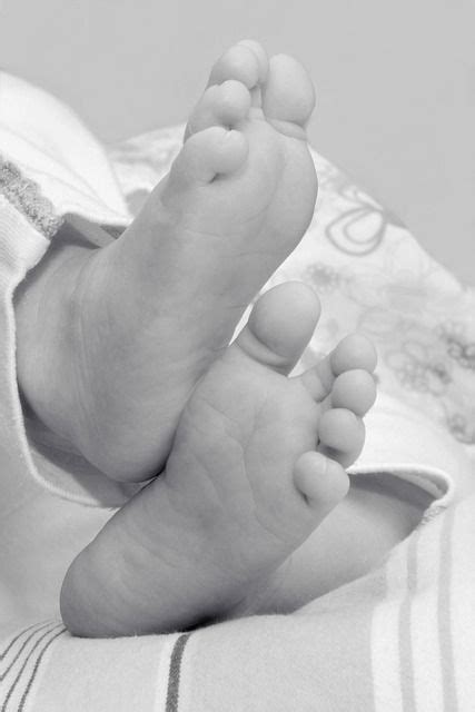 Free Image On Pixabay Feet Baby Feet Ten Baby Baby Feet Baby