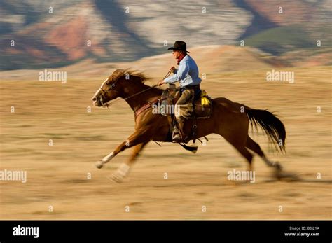 Cowboy Riding A Fast Horse Wyoming Stock Photo Alamy