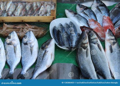Fresh Fish And Seafood At Supermarket Stock Image Image Of Stand