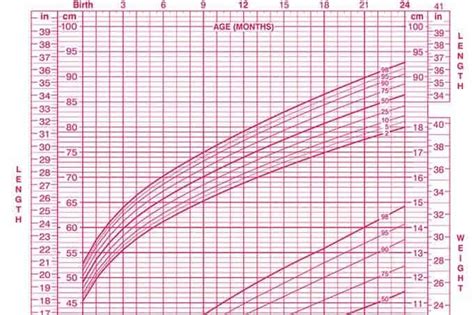 Typical Baby Growth Chart A Visual Reference Of Charts Chart Master