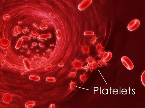 High Blood Platelet Levels Strong Predictor Of Cancer Study Nri