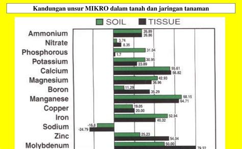 Tabel Unsur Makro Dan Mikro Pada Tumbuhan Berbagai Unsur My Riset