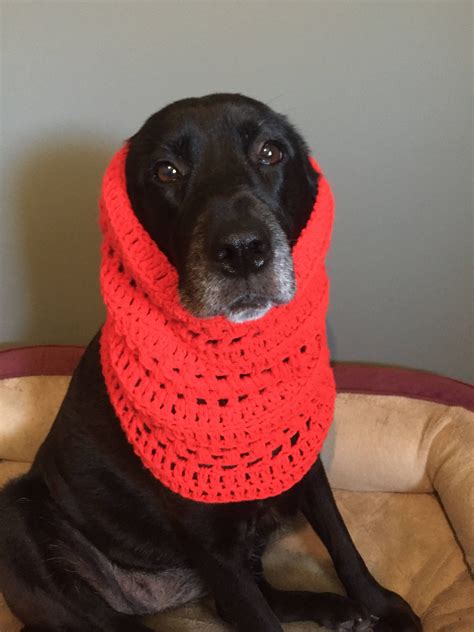 Red Dog Snood Pattern — Dog Scarf Pattern — Dog Snood Pattern Crochet