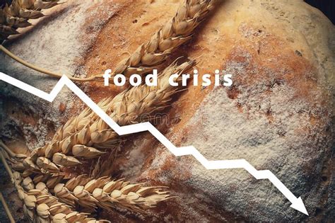 Food Crisis Failed Grain Harvest Bread Shortage Russia S Aggressive