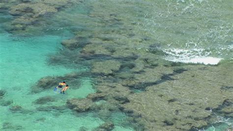 Snorkelers At Hanauma Bay Marine Life Conservation Area Honolulu