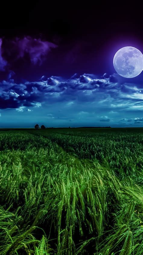 Night Clouds Grass Field Full Moon Wallpaper การถ่ายรูปธรรมชาติ